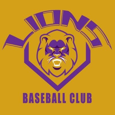 AAU Baseball Club for players age 9U-19U.