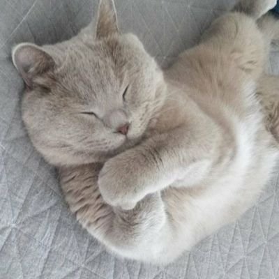 RajVija91633418's profile picture. जीवन में  एक  ऐसे  इंसान का  होना  बहुत जरूरी हैं, 

जिसे  दिल  का  हाल बताने  के लिऐ  लफ्ज़ो   जरूरत  ना  पड़े  ☺🌹💐
#जय_माता_दी    ☺🙏