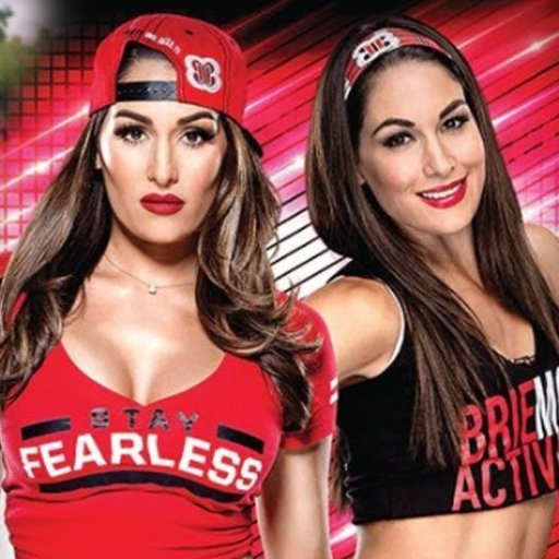 all my support and admiration is mainly with my role-models and favorite WWE Divas @bellatwins ❤
FOLLOWED BY @NatbyNature & @ashleymassaro11 !! ^-^