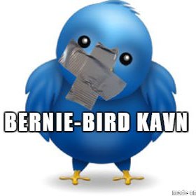 🦺BernieBro🌱Kavn🦺 📣🚚📣🚗#GeneralStrike🇺🇸🐦