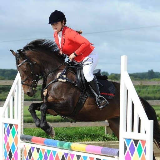 I am an Account Manager at Index PI. I am a keen horse rider who enjoys competing when can. I also teach Tae Kwon Do with my own club North Wilts TKD.