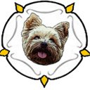 Wake Field - @WCFCYorkies - Twitter