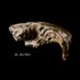 Calede Lab (@caledelab) Twitter profile photo Calede Lab (@caledelab) Twitter profile photo