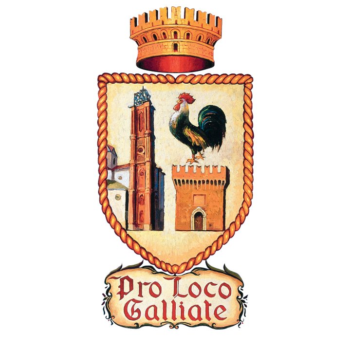 Visit Proloco Galliate Profile
