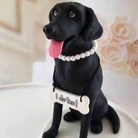 Anyot (@anyotmark) 's Twitter Profile