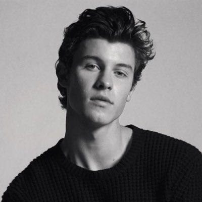 smarmy_austria's profile picture. #mendesarmy ❤️🤞🏻