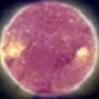PurpleSunTAS (@purplesunsr) 's Twitter Profile