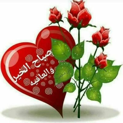 VOfeW2oDmyY0Aaw's profile picture. محمدعلي