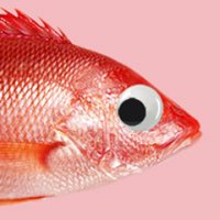 Snapper (@snapperldn) 's Twitter Profile
