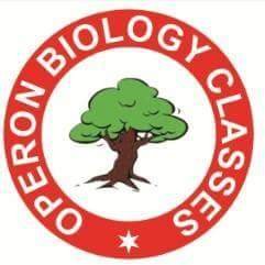 OPERON BIOLOGY CLASSES in an institute in Raipur, chhattisgarh for Pre Phd Examination :- CSIR-UGC-NET/GATE/ICMR/DBT/CGSET.
contact us : 9630533311