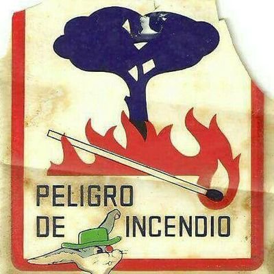 Ingeniero Técnico Forestal. Técnico de operaciones y coordinador de medios aéreos en incendios forestales.
Del Cristo de la Agonía. Del CD Cieza.