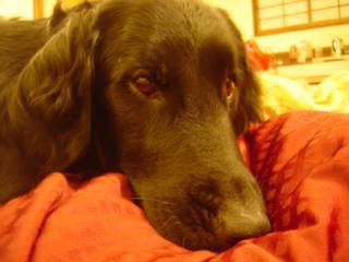 libra_107's profile picture. 篠崎中学校