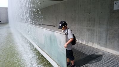 miyu_263202925's profile picture. 自閉症の息子(支援学校・高２、療育手帳A最重度知的)と暮らす母。色々ありますが、無事でいてくれることに、感謝しています。