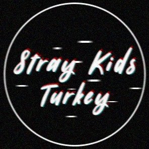 Stray Kids Turkey Profile