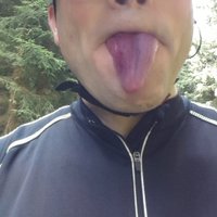 Blaubärjunkie (@bauerfelix) 's Twitter Profile