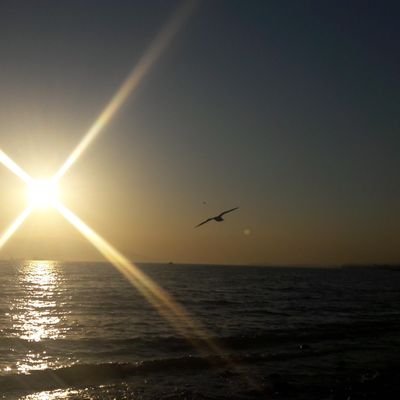 Abc411903's profile picture. 