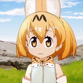 Pさんのプロフィール画像