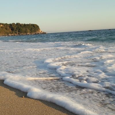 xaraant's profile picture. 