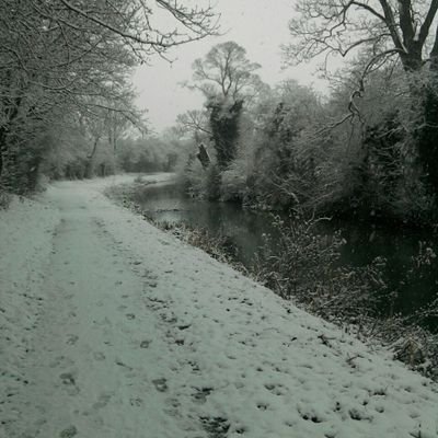 Alqunas's profile picture. Bargain hunter