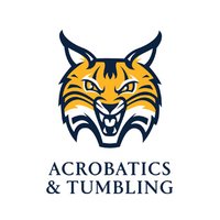 Quinnipiac Acrobatics & Tumbling(@QU_AcroTumbling) 's Twitter Profile Photo