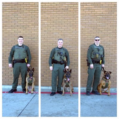 Official Twitter Page of K9 Bullet, K9 Jurek, and K9 Kane of the Grand Prairie Police Department.