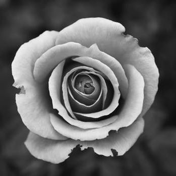 one man band. a mix of metal/doom/sludge along with a lot of ambient sounds. Save the planet. This is the only one the we have.