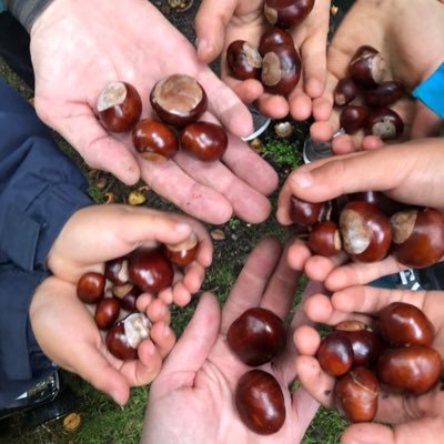 We're passionate about getting folk of all ages out into the woods, supporting well-being & resilience through nature connection