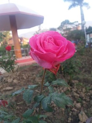 Simple guy, physicist, spiritualist....☺
Start accepting,😊
Stop expecting,....😀
New on twitter 😁
.....that's it! 😂
&my tweets are on @prakash160108 😇😇