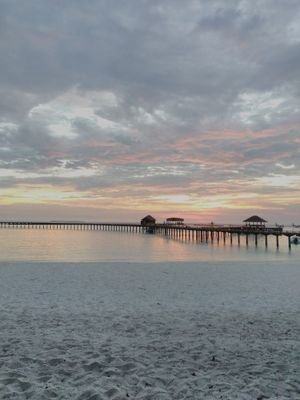 rimonstweet's profile picture. 