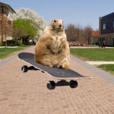 Real time updates of skateboards going down van meter high way