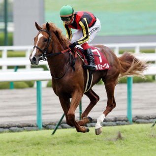 2018競馬のアイコン