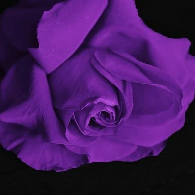 cherylla2012's profile picture. 