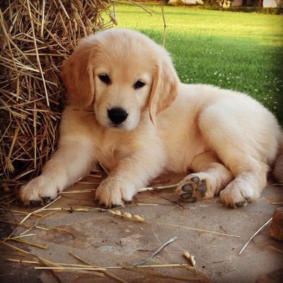 fidgetspinner2_'s profile picture. Take your time reading all the tweets, baby. i love you😘