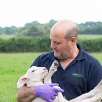 Yoav Alony-Gilboa (@alonyvet) 's Twitter Profile