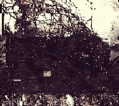 MythFall's profile picture. ~~~