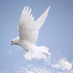 AndreaLawton13's profile picture. peace, love and blessings to all