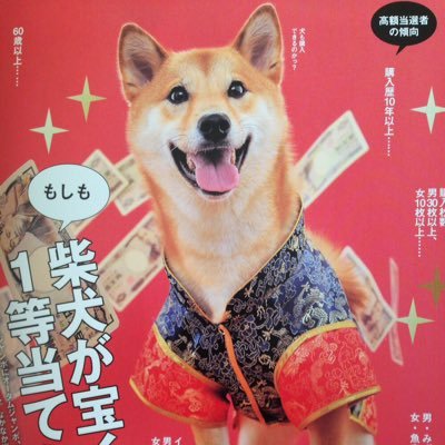 ririsasuke's profile picture. A.B.CーZとふぉ～ゆ～ 、 冨岡健翔くん、関ジャニ∞と柴犬さん
