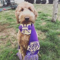 Bryan Fowler (@bfowler1224) 's Twitter Profile