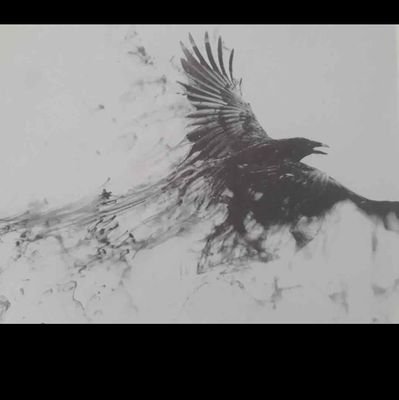 An0nMaddy's profile picture. Simple'y,
Sarcastic,
HUMAN!