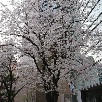 mcld565611's profile picture. 