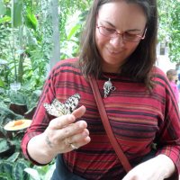 Margaret Sullivan (@loveoflearning4) 's Twitter Profile