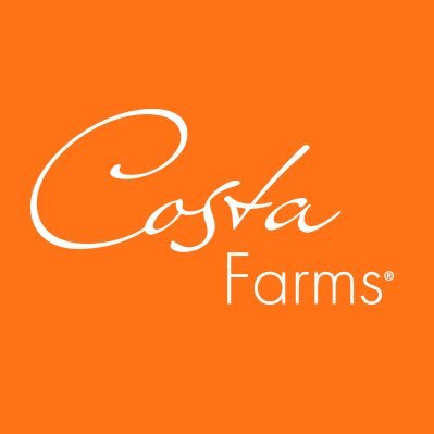 CostaGulf's profile picture. 