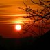 Wight Life Images (@wightlifeimages) Twitter profile photo Wight Life Images (@wightlifeimages) Twitter profile photo