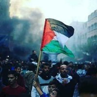 alraisi (@sa__13a) 's Twitter Profile