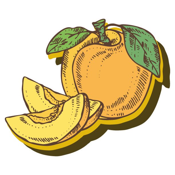 bhcmdnkayisinet's profile picture. WhatsApp:05428097822📲Havale veya eft ile satın alma işlemi için IBAN: TR920001000400272060425006