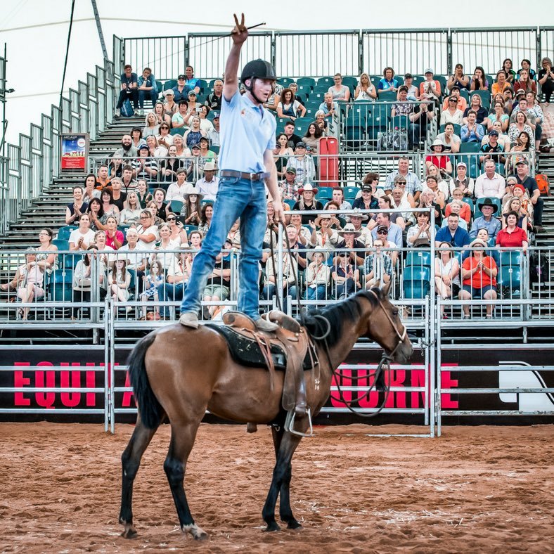 Providing Pre-training, Breaking & Spelling, the DPR team are passionate about achieving excellence with horses in our care. Contact - info@dprbreaking.com