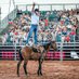 DPR Horsemanship (@dpr_breaking) Twitter profile photo DPR Horsemanship (@dpr_breaking) Twitter profile photo