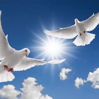 PENN (@pennnepal) 's Twitter Profile Photo PENN (@pennnepal) 's Twitter Profile Photo