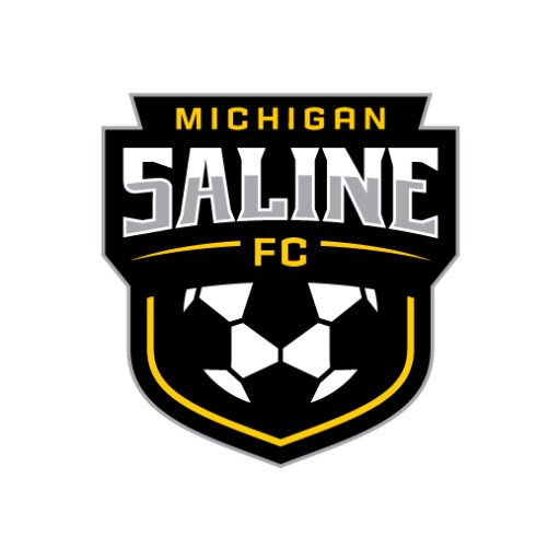 Saline, Michigan soccer club featuring both travel and recreational programs. 🐝⚽️