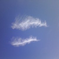 The Bean Scale (@thebeanscale) 's Twitter Profile